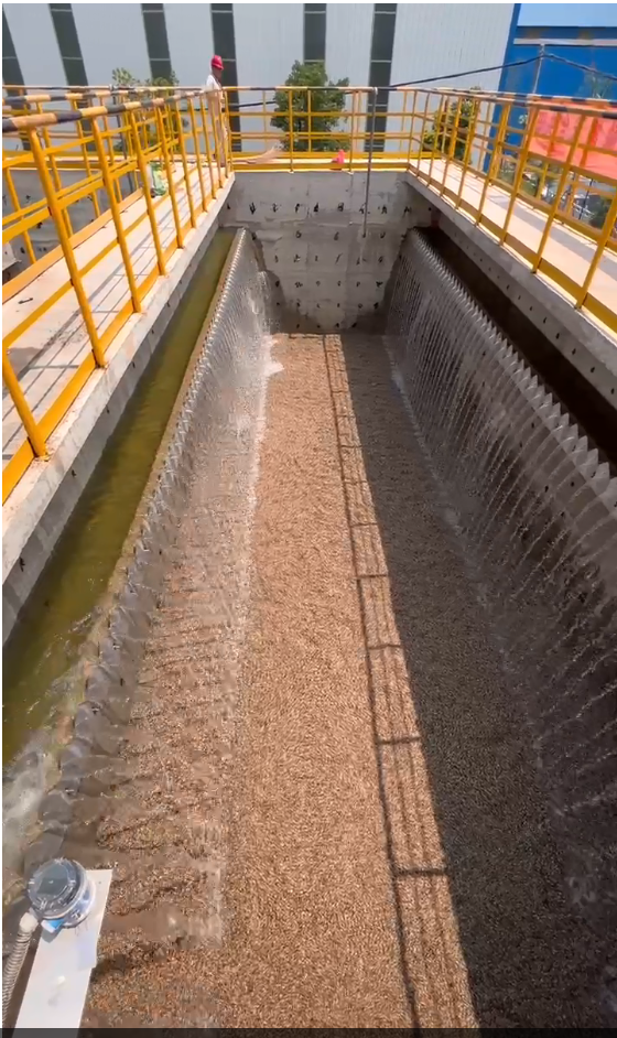 奥柯环保2.6吨反硝化深床滤池调试圆满成功（2022年7月15日）